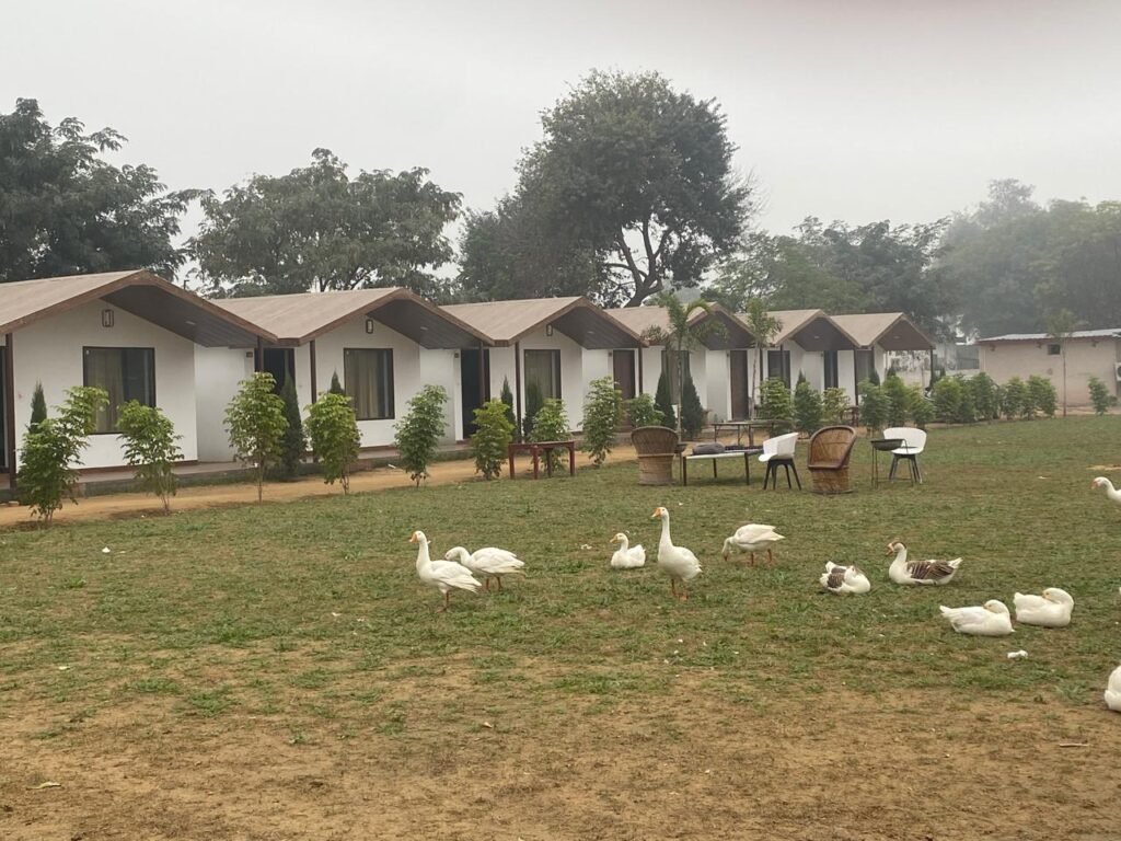 Best Luxury Family Village Resort in Delhi With Activities 5 best family resort in delhi